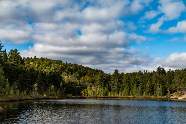 istock Typical and beautiful scene at Algonquin Provincial Park in Ontario, Canada with all it's Trees, Forest, Hills, Lakes and Wilderness 1225386720