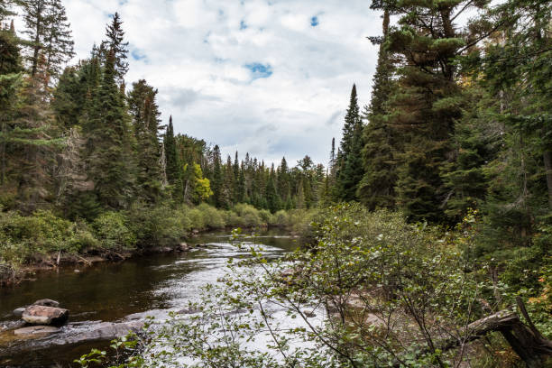 istock Typical and beautiful scene at Algonquin Provincial Park in Ontario, Canada with all it's Trees, Forest, Hills, Lakes and Wilderness 1225386859