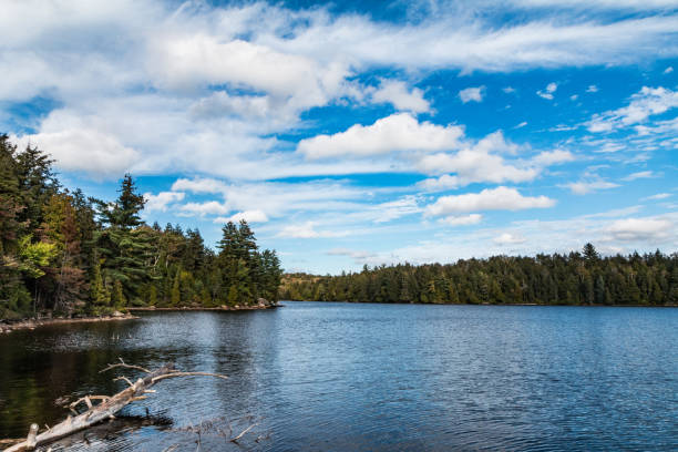 istock Typical and beautiful scene at Algonquin Provincial Park in Ontario, Canada with all it's Trees, Forest, Hills, Lakes and Wilderness 1225386894
