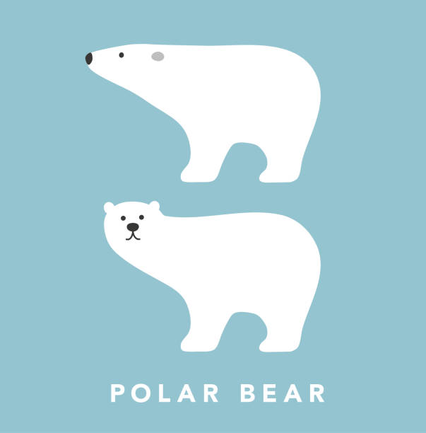 polar bear - eisbär stock-grafiken, -clipart, -cartoons und -symbole