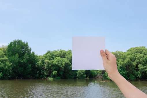 Woman hand holding white paper against mangrove forest and river with blue sky and cloud background.