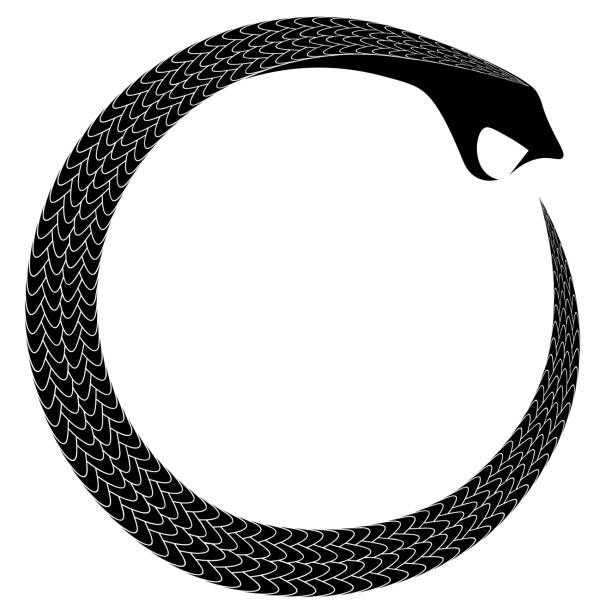 starożytny okultystyczny symbol alchemiczny wąż jedzący ogon ouroboros - reptile skin stock illustrations