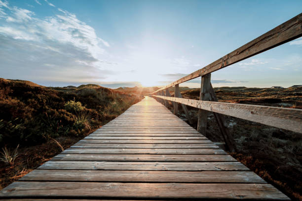 Colorful view of seaside landscape before sunset. Colorful view of seaside landscape before sunset. Low view of Wooden touristic walkway with railing leading to sun. Summer vacation and wildlife concept. amrum stock pictures, royalty-free photos & images