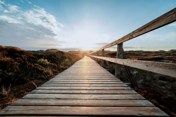 Colorful view of seaside landscape before sunset. Low view of Wooden touristic walkway with railing leading to sun. Summer vacation and wildlife concept.