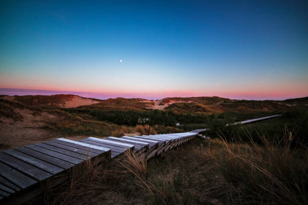 Steps on a coastal wooden boardwalk at sunset