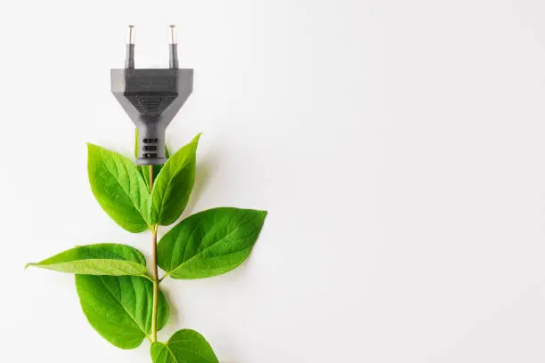 Power plug with green leaves over white background. Copy space