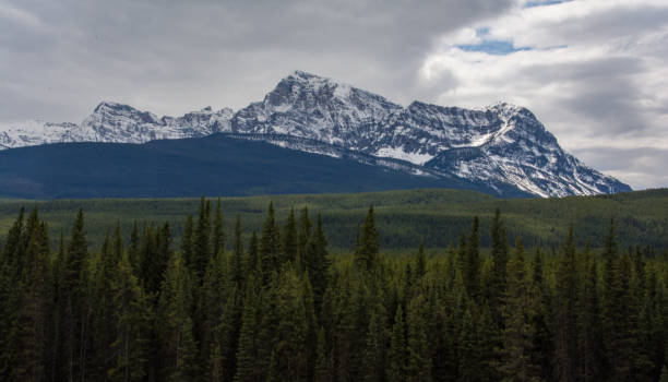 istock Snowcapped mountians in Banff National Park 1225397763