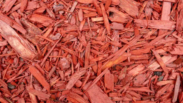 Photo of Red pine mulch_02