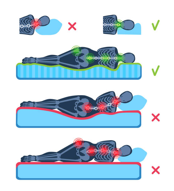 ilustrações de stock, clip art, desenhos animados e ícones de a woman lying on her side on the orthopedic mattress and pillow. a human body silhouette with a skeleton. good and bad posture, position, head support. pain areas in a spine and a hip. - good posture