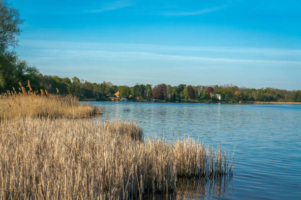 vista sobre el lago schwielowsee en petzow, brandenburg - petzow fotografías e imágenes de stock