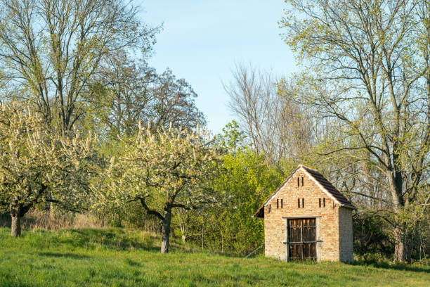 idylliczny widok na starą chatę nad jeziorem schwielowsee - petzow zdjęcia i obrazy z banku zdjęć