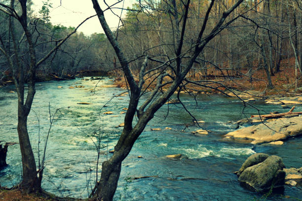 istock River Running through rocky section in the sun 1225402794