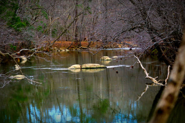 River Running through rocky section in the sun