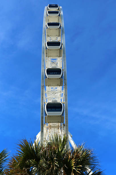 istock Ferris wheel over palm trees against bright blue sky 1225403041