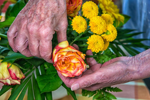 close-up of old womans hand picking a rose from a bouquet of flowers close-up of old womans hand picking a rose from a bouquet of flowers mothers day horizontal close up flower head stock pictures, royalty-free photos & images