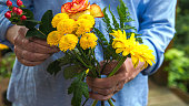 close-up of older womans hands holding a bouquet of flowers