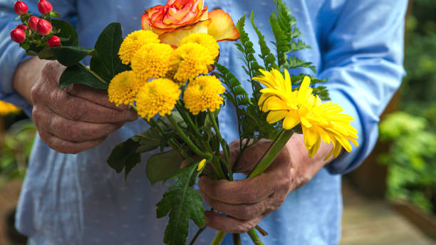 close-up of older womans hands holding a bouquet of flowers close-up of older womans hands holding a bouquet of flowers mothers day horizontal close up flower head stock pictures, royalty-free photos & images