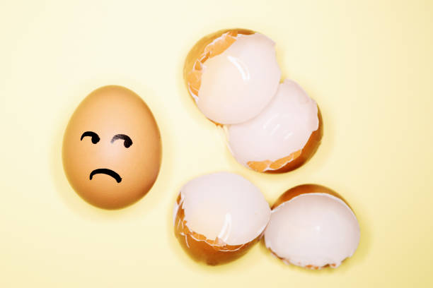 istock Surviving egg looks at broken eggshells in fear 1225409931