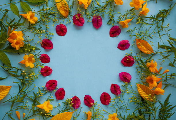 Free picture: A circular arrangement of flowers and desserts, a floral ...