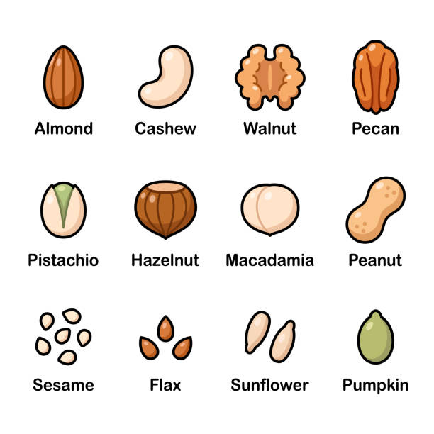 Nuts and seeds icons Nuts and seeds icon set. Cartoon color icons, isolated vector clip art illustration. pecan icon stock illustrations