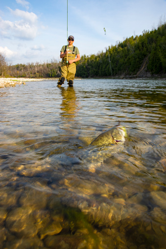 A teen fly-fisher playing a fish on a beautiful tributary river of Lake Huron.  Real scenario.