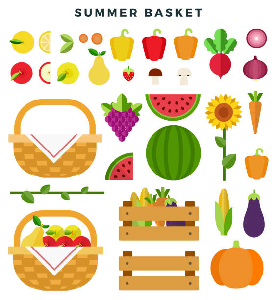 新鮮な果物や野菜の夏のバスケット。健康的な食事の概念。果物、野菜、ヒマワリ、白い背景に隔離。ベクトルフラットイラストレーション。 - carrot vegetable food isolated点のイラスト素材／クリップアート素材／マンガ素材／アイコン素材