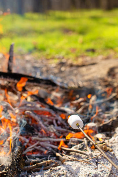 istock Camping bonfire, frying marshmallows at the stake 1225416313