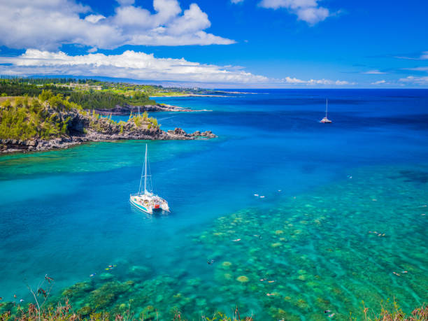 landscape of honolua bay maui hawaii snorkeling coral reefs in marine preserve - maui imagens e fotografias de stock