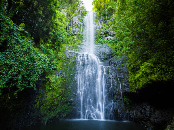 マウイ島、ハワイハナハイウェイ、ワイルア滝、リフエ近く、ハナへの道のカウアイ島 - maui waterfall hawaii islands hana ストックフォトと画像