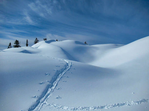 istock Snow covered hills with ski tracks 1225417514