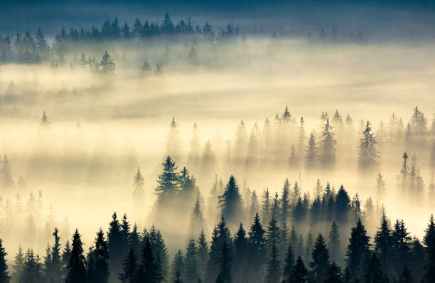 istock glowing fog in the valley at sunrise 1225417869