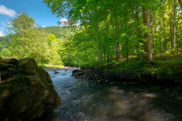 istock stream in the forest. beautiful nature background 1225418786