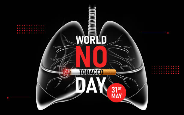 World No Tobacco Day 31 May, Stop smoking concept advertisement, cigarette burning with human lungs, vector illustration World No Tobacco Day 31 May, Stop smoking concept advertisement, cigarette burning with human lungs, vector illustration eps10 anti tobacco day stock illustrations