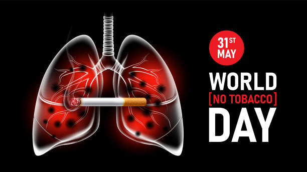 World No Tobacco Day 31 May, Stop smoking concept advertisement, cigarette burning with human lungs, vector illustration World No Tobacco Day 31 May, Stop smoking concept advertisement, cigarette burning with human lungs, vector illustration eps10 World No-Tobacco Day stock illustrations