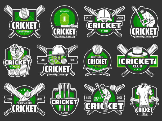 Cricket championship cup, sport club team badges Cricket club badges and sport team emblems, league championship cup, vector icons. Cricket sport player equipment bats and balls signs for professional game tournament wicket stock illustrations