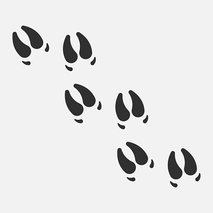 Pig step icon. Pig paw icon isolated on white background. Vector illustration. Eps 10.