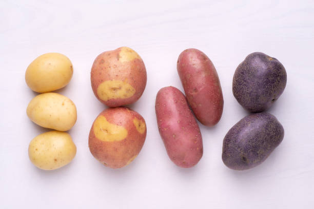 Potatoes Kinds Gardening To - Free photo on Pixabay
