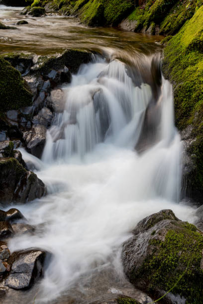 istock Watersmeet in Exmoor National Park 1225424880