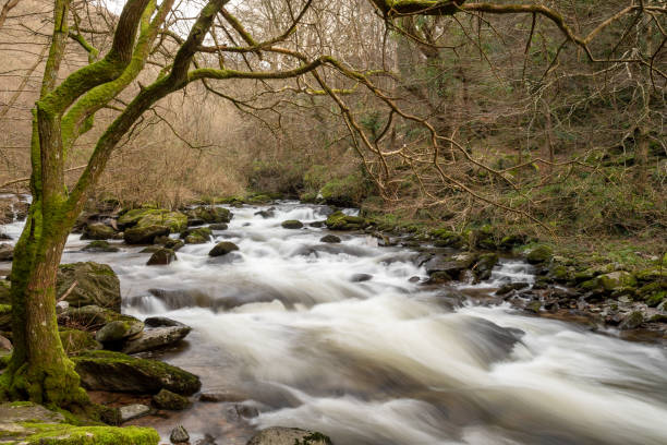 istock Watersmeet in Exmoor National Park 1225424995