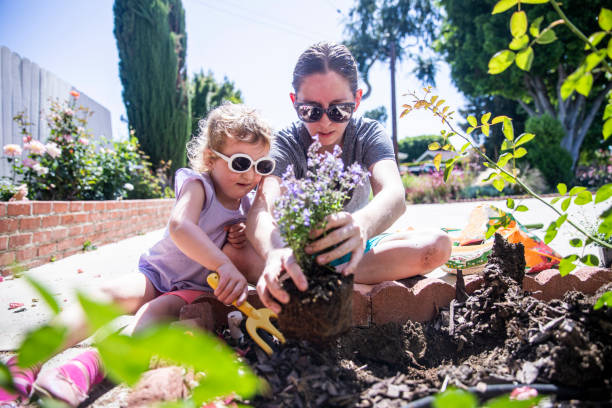 matka i córka ogrodnictwo na świeżym powietrzu - bush child gardening sunlight zdjęcia i obrazy z banku zdjęć