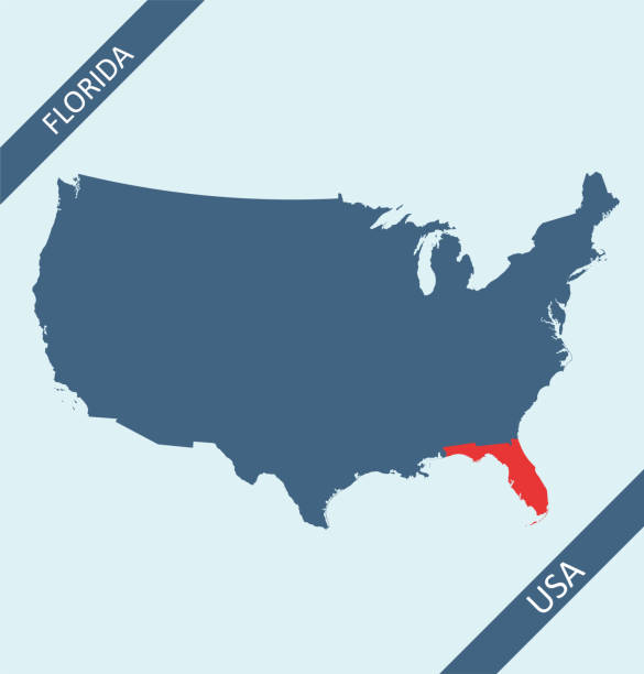 Florida state on USA map Highly detailed map of United States of America with highlighted state of Florida for for web banner, mobile app, and educational use. The map is accurately prepared by a map expert. clearwater florida stock illustrations