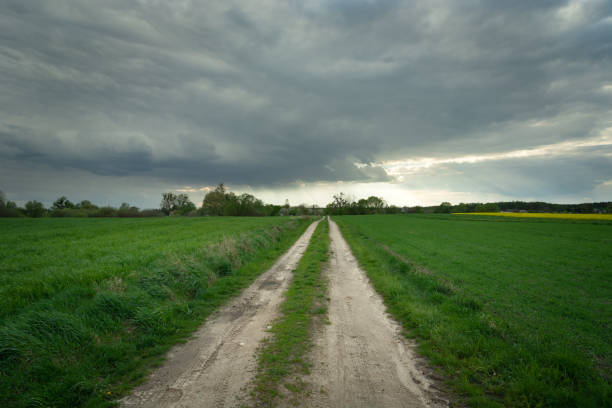 istock A dirt road surrounded by green fields, the horizon and dark rain clouds 1225429630
