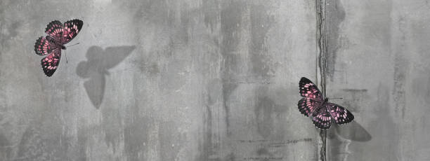 istock Beautiful pink butterflies on concrete wall background. Free space for text. Banner format. 1225429889