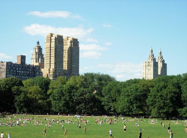 istock Central Park New York city 1225432185