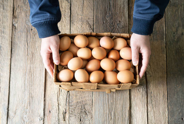 istock Farm fresh chicken eggs in a farmer hands. View above. 1225432419