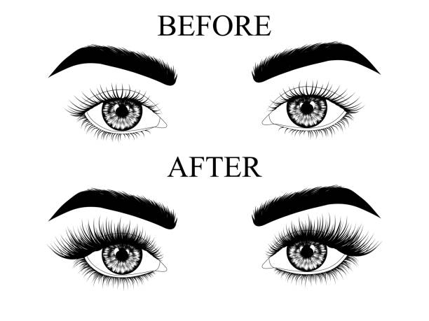 ilustrações de stock, clip art, desenhos animados e ícones de eyelash extensions before and after. - women human face sensuality human eye