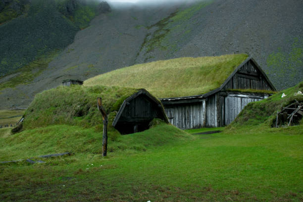 Icelandic turf houses and rocks. Stokksnes also known as the Viking Village. Old village with green roofs and wood buildings. The authentic Viking Village was built at the foot of Mount Vestrahorn. roof, countryside, icelandic, home, sod roof stock pictures, royalty-free photos & images