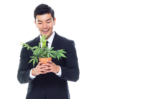 One person of aged 20-29 years old chinese ethnicity male businessman standing in front of white background wearing necktie who is happy and holding plant