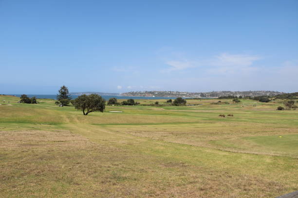 istock The Long Reef Headland in Sydney Australia 1225438307
