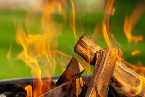 Barbecue Grill. Fire flame on green grass background.  Barbecue Grill with Fire on Open Air. Fire flame.